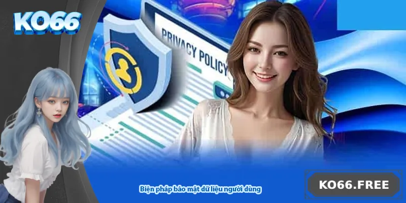 Biện pháp bảo mật dữ liệu người dùng