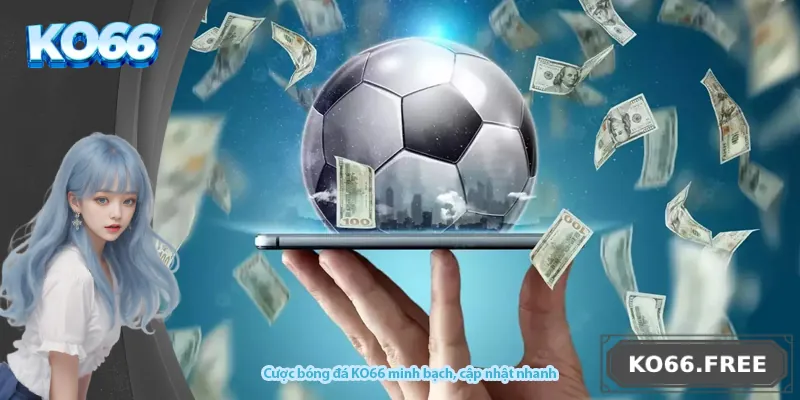 Cược bóng đá KO66 minh bạch, cập nhật nhanh