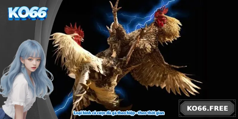 Loại hình cá cược đá gà theo hiệp - theo thời gian