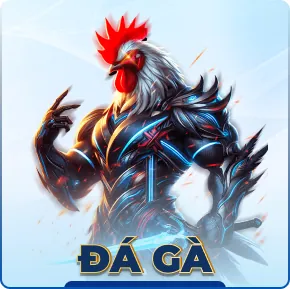 Sảnh Đá Gà KO66