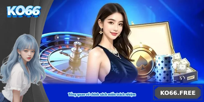 Tổng quan về chính sách miễn trách nhiệm