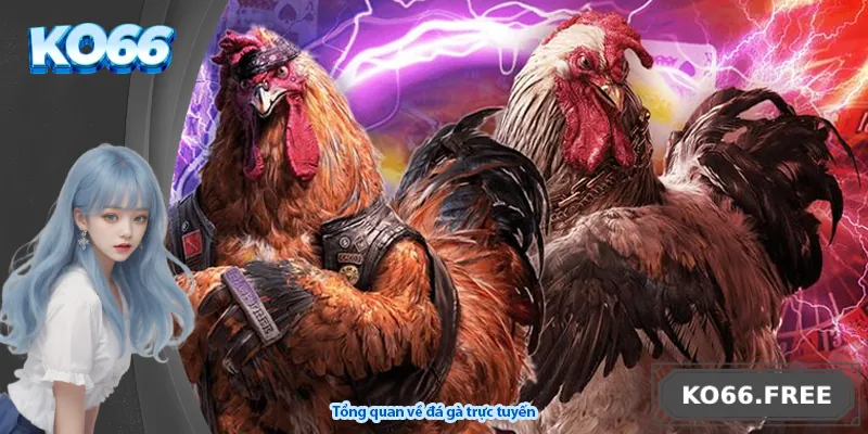 Tổng quan về đá gà trực tuyến